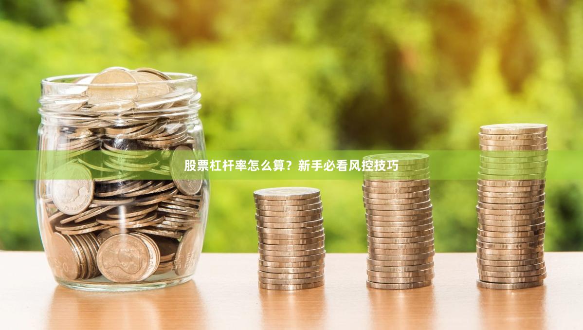 股票杠杆率怎么算？新手必看风控技巧